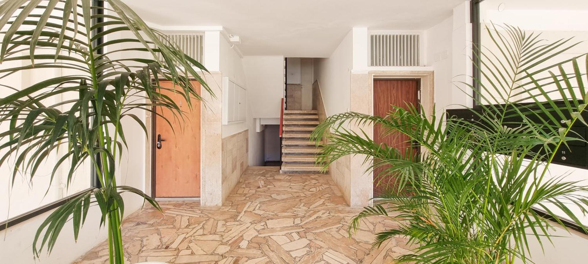 Bnb Israel Apartments - Harav Kook Lilas Τελ Αβίβ Εξωτερικό φωτογραφία